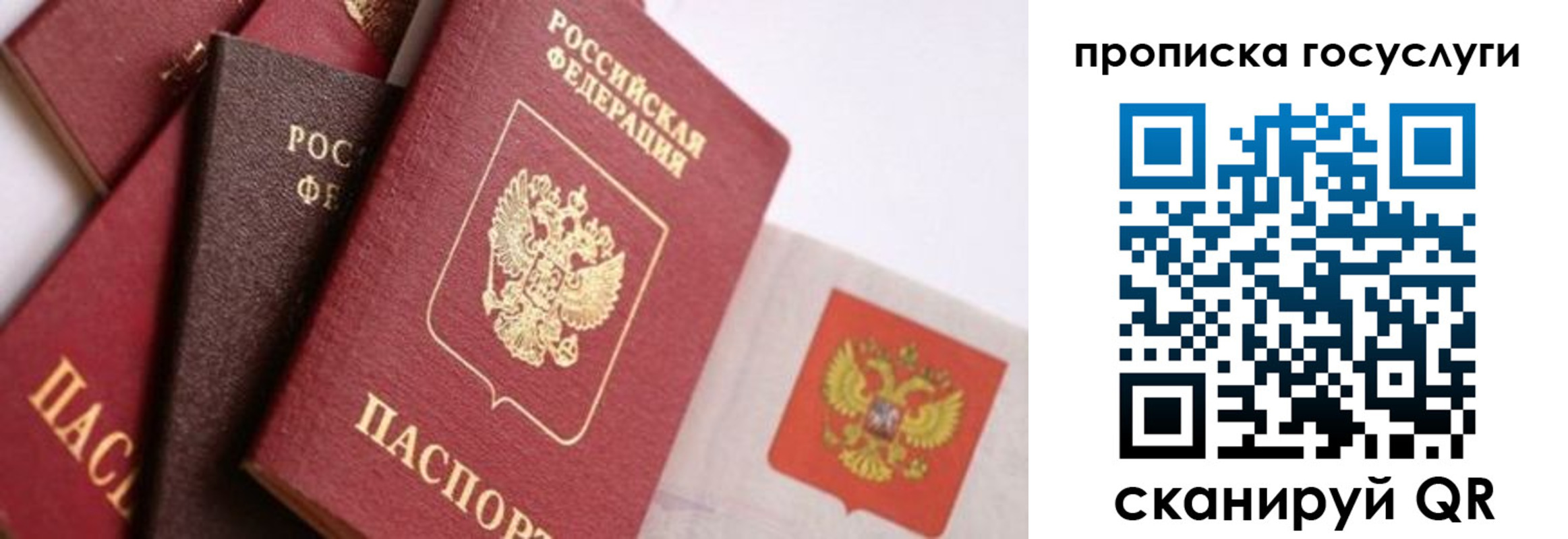 прописка законно в Спасске-Дальнем